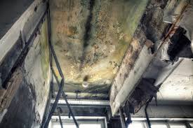 Best Mold Remediation for Healthcare Facilities  in Choccolocco, AL